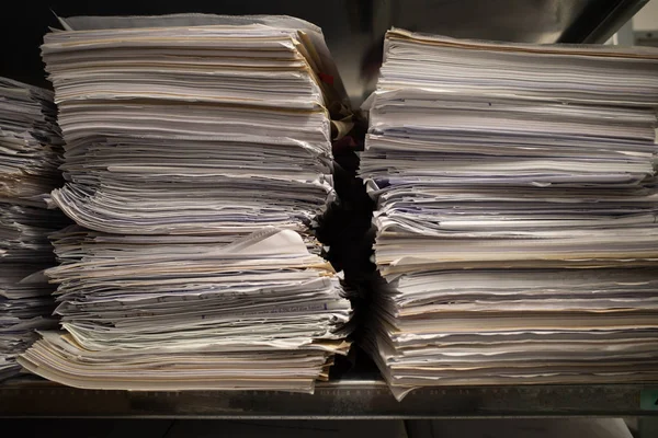 Bir dosya arşivinde fil dağlarıyla dolu raflar var.