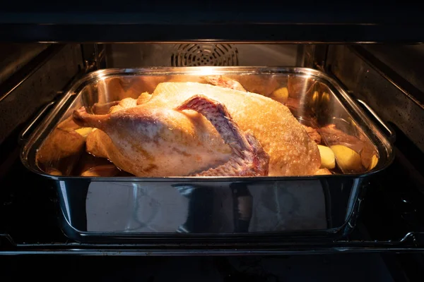 In an oven there is a roasting pot in which a raw duck lies to b — Stock Photo, Image