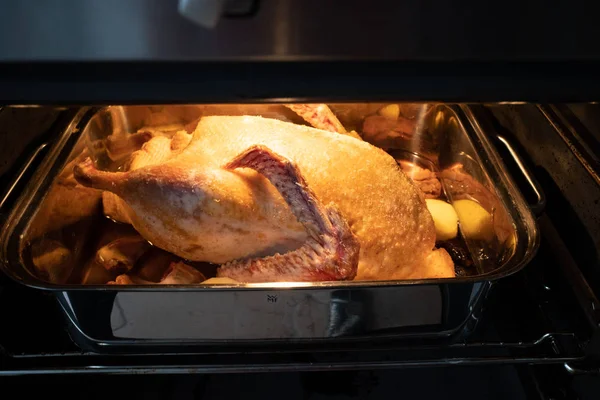 In an oven there is a roasting pot in which a raw duck lies to b — Stock Photo, Image