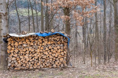 Ormanda iki ağacın arasında muşamba kaplı bir odun yığını var. 