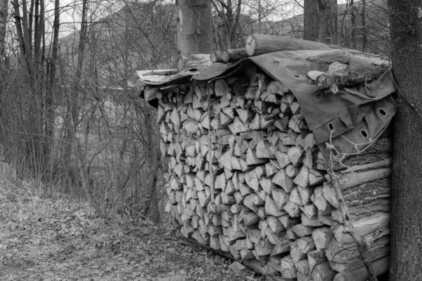 Wald Zwischen Zwei Bäumen Liegt Ein Stapel Gehäckseltes Holz Das — Stockfoto