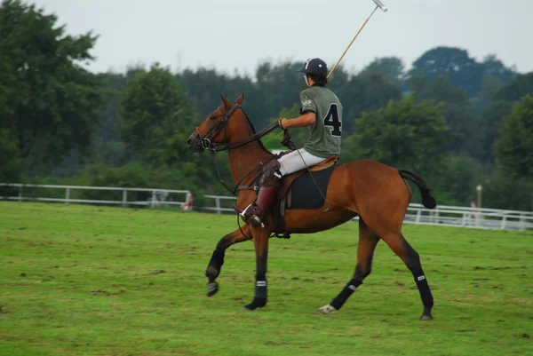 トーナメント中に茶色のポロ馬に座っていたポロ選手が — ストック写真