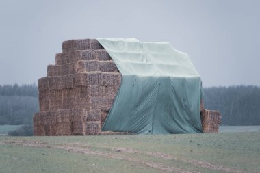 Bir ev kadar büyük bir saman kirası, yeşil bir muşambayla kaplı bir sahanın üzerinde duruyor.