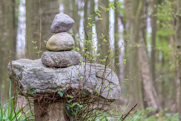 Man Stones Stands Wayside Forest — Stock Photo, Image