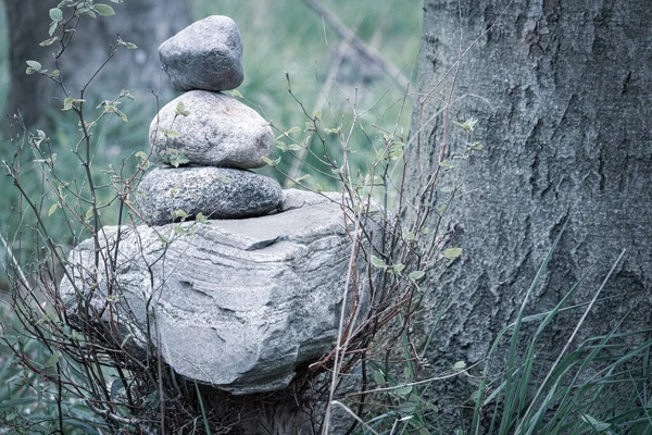 Hombre Piedras Está Junto Camino Bosque —  Fotos de Stock