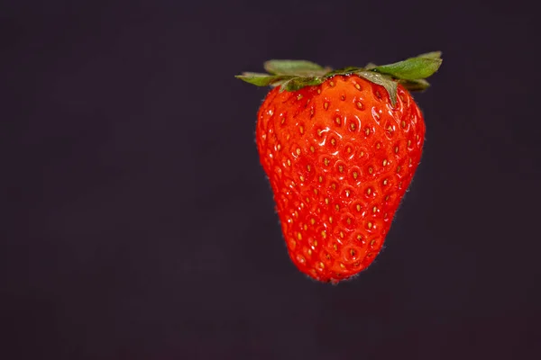 Eine Einzige Rote Erdbeere Vor Dunklem Hintergrund — Stockfoto