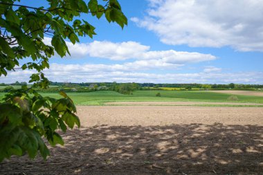 Mavi gökyüzünde beyaz bulutlar ve yeşil tarlalarla çekilmiş bir manzara.