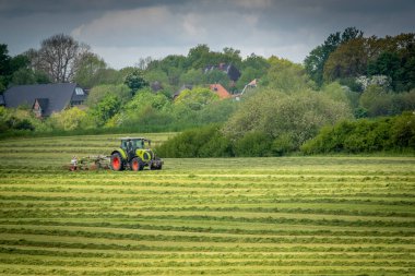 ein Bauer wendet das Heu auf einem Feld mit see Traktor