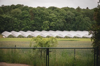 Yeşil bir alanda birçok folyo serası vardır.
