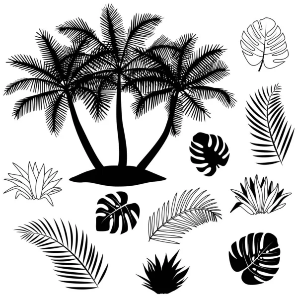 Schwarz Weiße Silhouette Des Tropenwaldes Contor Isolierte Menge Vektorillustration Palme — Stockvektor