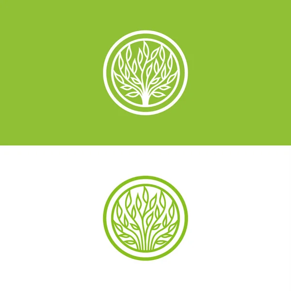 Ağaç logosu tasarımı. Logotype Şirketi. Doğa vektörü çizimi. Eko logo simgesi. Soyut organik tasarım. Bir ağacın vektör silueti.