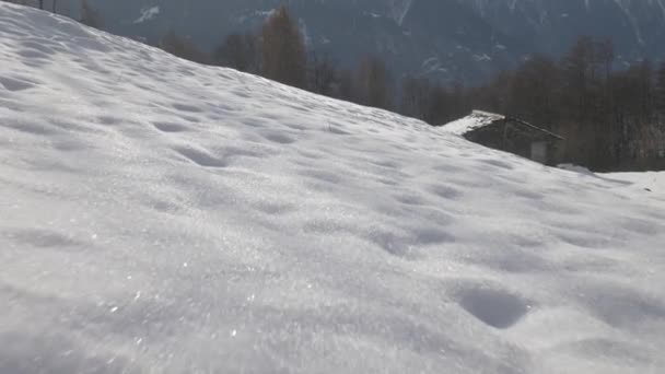 Niski kąt strzału Pov małego zwierzęcia biegającego w śniegu — Wideo stockowe