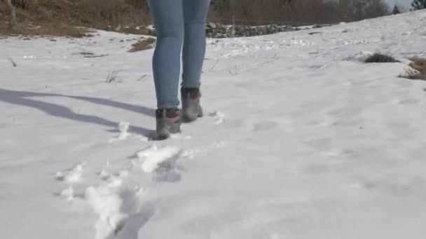 Χαμηλή γωνία βολής των ποδιών που περπατούν στο χιόνι — Αρχείο Βίντεο