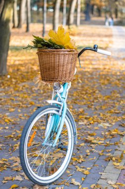 Güz parkında bisiklet