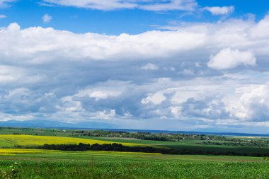 Köyde bahar sarısı tarlalar ve güzel gökyüzü