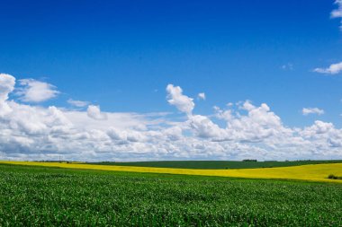 Köyde bahar sarısı tarlalar ve güzel gökyüzü