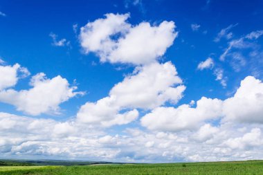 Köyde bahar sarısı tarlalar ve güzel gökyüzü