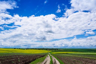 Köyde bahar sarısı tarlalar ve güzel gökyüzü