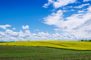 Köyde bahar sarısı tarlalar ve güzel gökyüzü