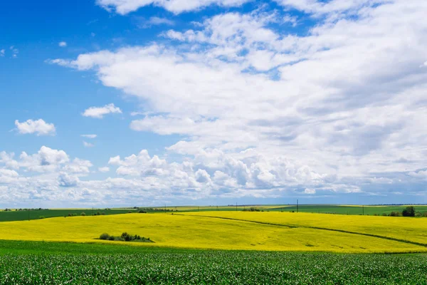 Frühling Gelbes Feld Dorf Und Schöner Himmel — Stockfoto