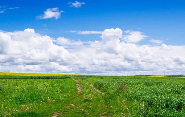 Frühling Gelbes Feld Dorf Und Schöner Himmel — Stockfoto