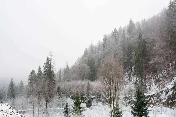 Winter Forest Beautiful Landscape Mountains — Stock Photo, Image