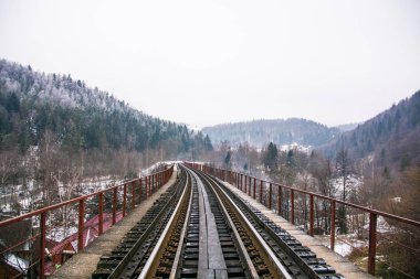 Kış ormanı ve tren yolu.
