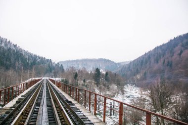Kış ormanı ve tren yolu.