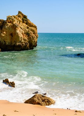 Atlantik kayalık kıyı şeridi üzerindeki güneş ışığı Algarve, Portekiz. Beyaz kayalık kayalık kayalıkları olan resimli deniz manzarası. Great Ocean Road boyunca uzanan Worm Bay..