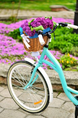 Bir sepet çiçekli turkuaz bisiklet. Mor leylaklı sepet.