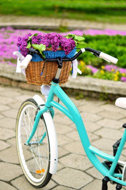 Bir sepet çiçekli turkuaz bisiklet. Mor leylaklı sepet.