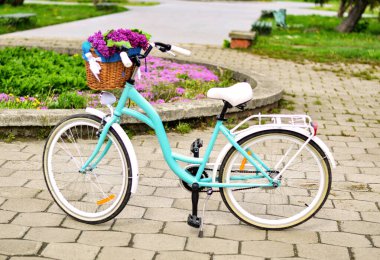 Bir sepet çiçekli turkuaz bisiklet. Mor leylaklı sepet.