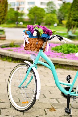 Bir sepet çiçekli turkuaz bisiklet. Mor leylaklı sepet.