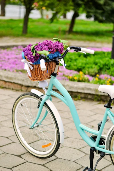 Bir sepet çiçekli turkuaz bisiklet. Mor leylaklı sepet.