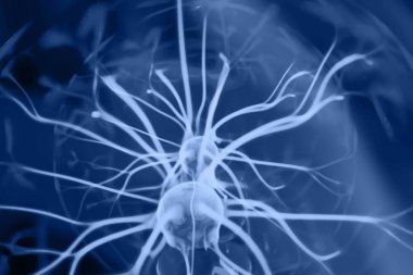 Klasik Mavi Duvarı 2020 - 19-4052. Yılın Rengi.