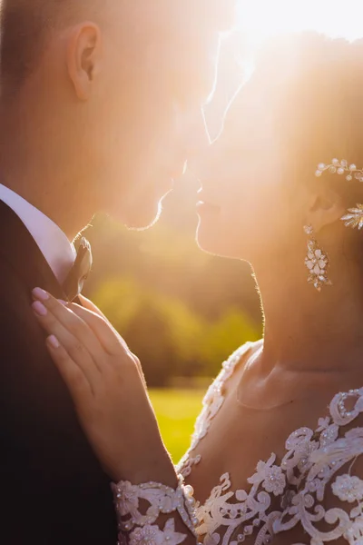 Beijo amor noiva e noivo. Feliz juntos contra o pano de fundo da grama verde e um lago ao pôr do sol. — Fotografia de Stock