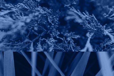 Klasik Mavi Duvarı 2020 - 19-4052. Yılın Rengi.