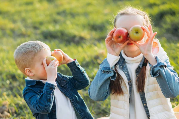 Children eat apples on the green grass. Brother and sister play with apples.