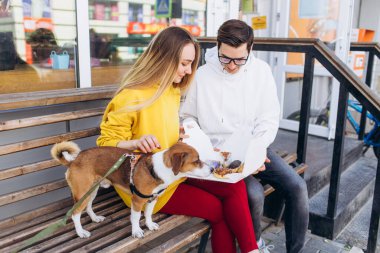 Bir köpekle bankta oturan bir adam. Köpek dostu..