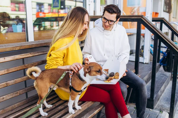Bir köpekle bankta oturan bir adam. Köpek dostu..