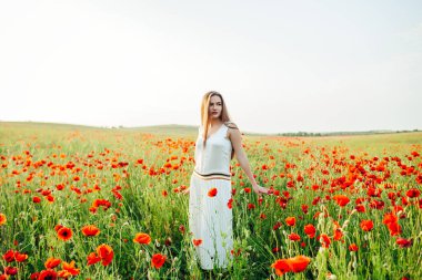 Gün batımında haşhaş tarlalarında güzel bir genç kız. 