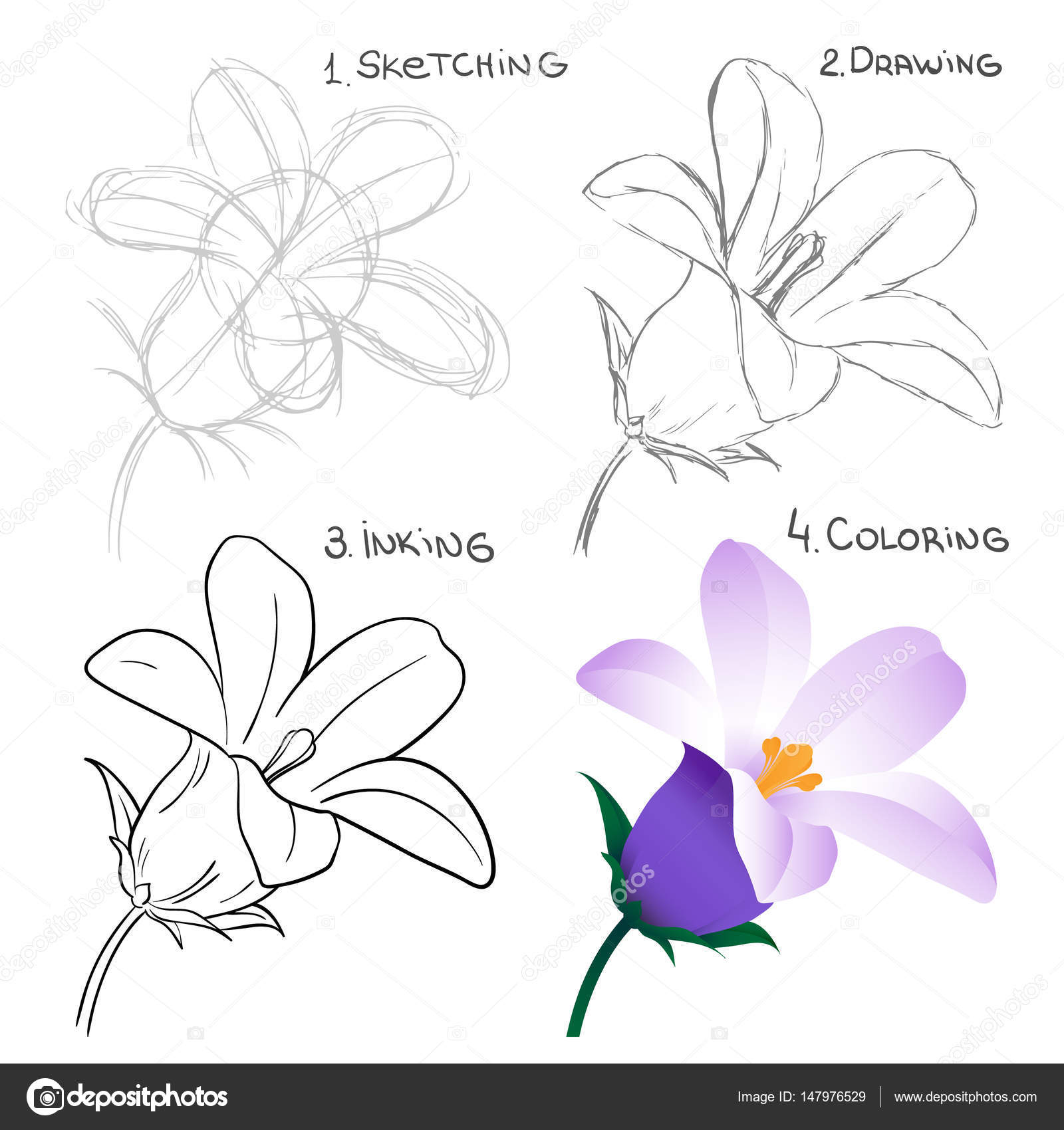 Processus Par étapes De Dessin Fleur Printanière Isolé Sur