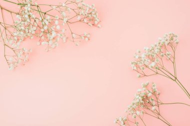 Kırsal tarzda beyaz çiçeklerin yerleşimi, metinleriniz için bir yer. Düz yatar, üstten fotoğraf çekilir. Pembe arka planda kurumuş çiçek.