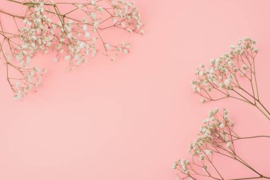 Kırsal tarzda beyaz çiçeklerin yerleşimi, metinleriniz için bir yer. Düz yatar, üstten fotoğraf çekilir. Pembe arka planda kurumuş çiçek.