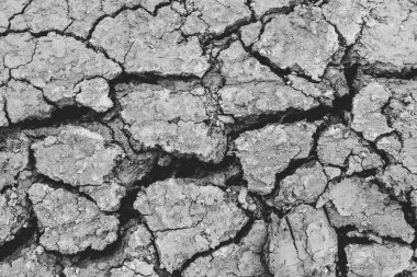Kuru toprak toprak ya da kuraklık sırasında toprak arkaplanı.