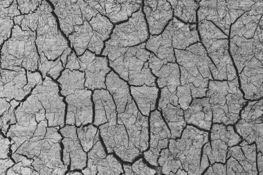 Kuru toprak toprak ya da kuraklık sırasında toprak arkaplanı.
