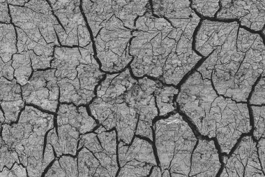 Dünyanın kurak kahverengi dokusu ve derin çatlaklar çevresel felaketlerden birinin göstergesi. Küresel ısınma.