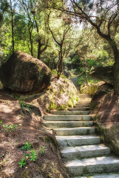 Natural Stone Stairs Leading — Stock Photo, Image