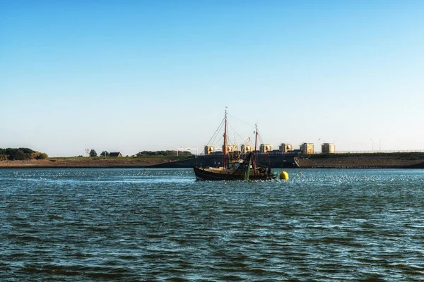 Camarones frescos Justo después de hervir a bordo de un barco camaronero — Foto de Stock