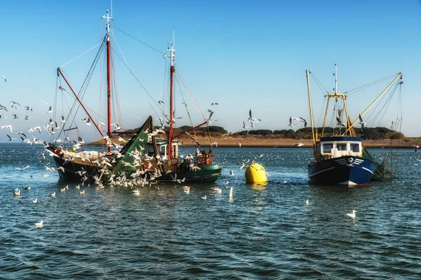 Arrastreros de pesca en el trabajo — Foto de Stock